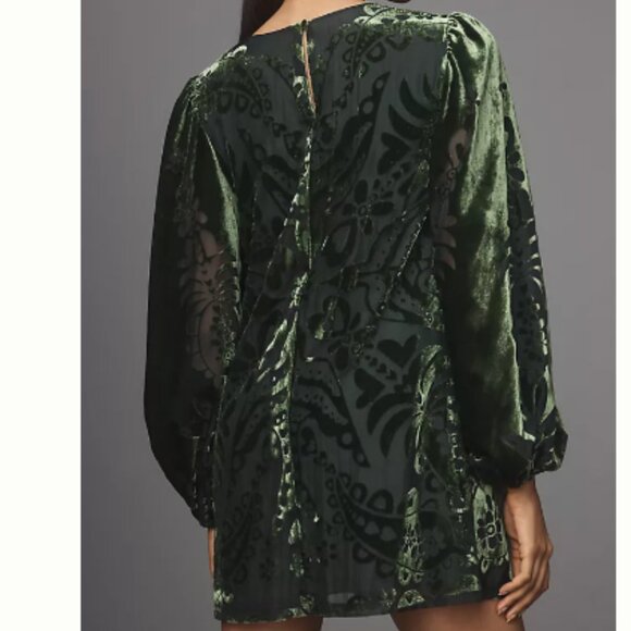Farm Rio x Anthropologie Long Sleeve Velvet Mini Dress - Picture 2 of 2